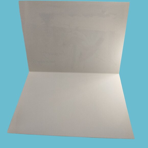 Blank Christmas Card Seasons Greetings Cardinal Birds Envelope Holiday - Picture 5 of 7